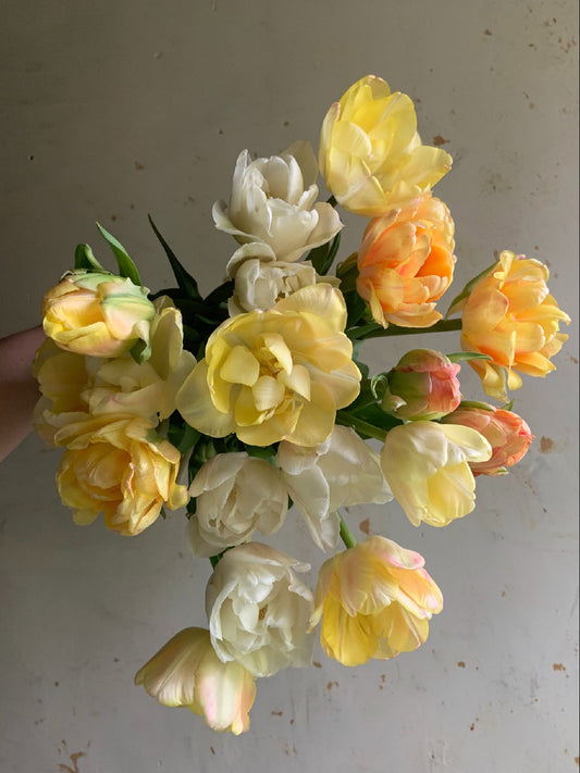 A bouquet of tulips in soft yellow, peach, and white, with green leaves, held against a plain off-white wall.