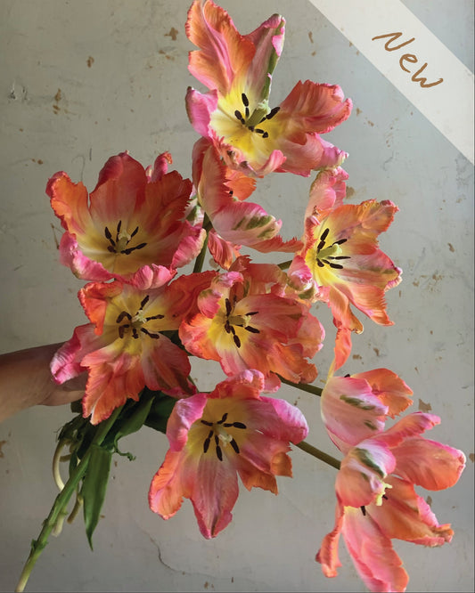 A bouquet of artificial tulip flowers in shades of pink, orange, and yellow with dark centers, held by a hand against a textured off-white wall. A diagonal white banner in the top right corner features the word 'New' in brown script.