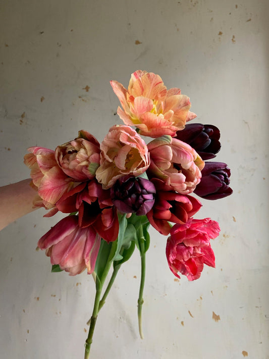Tulip Collection 'Gone Antiquing'