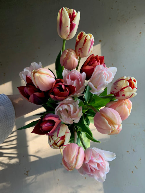 bouquet of pink tulips