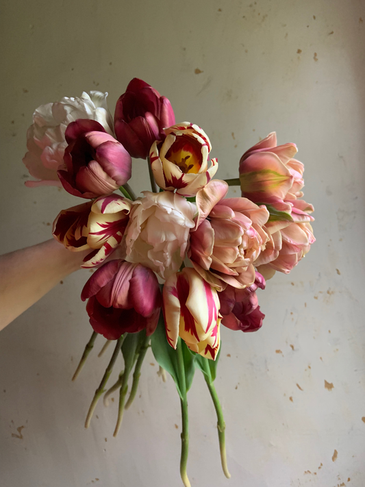 Tulip Collection 'Gone Antiquing'