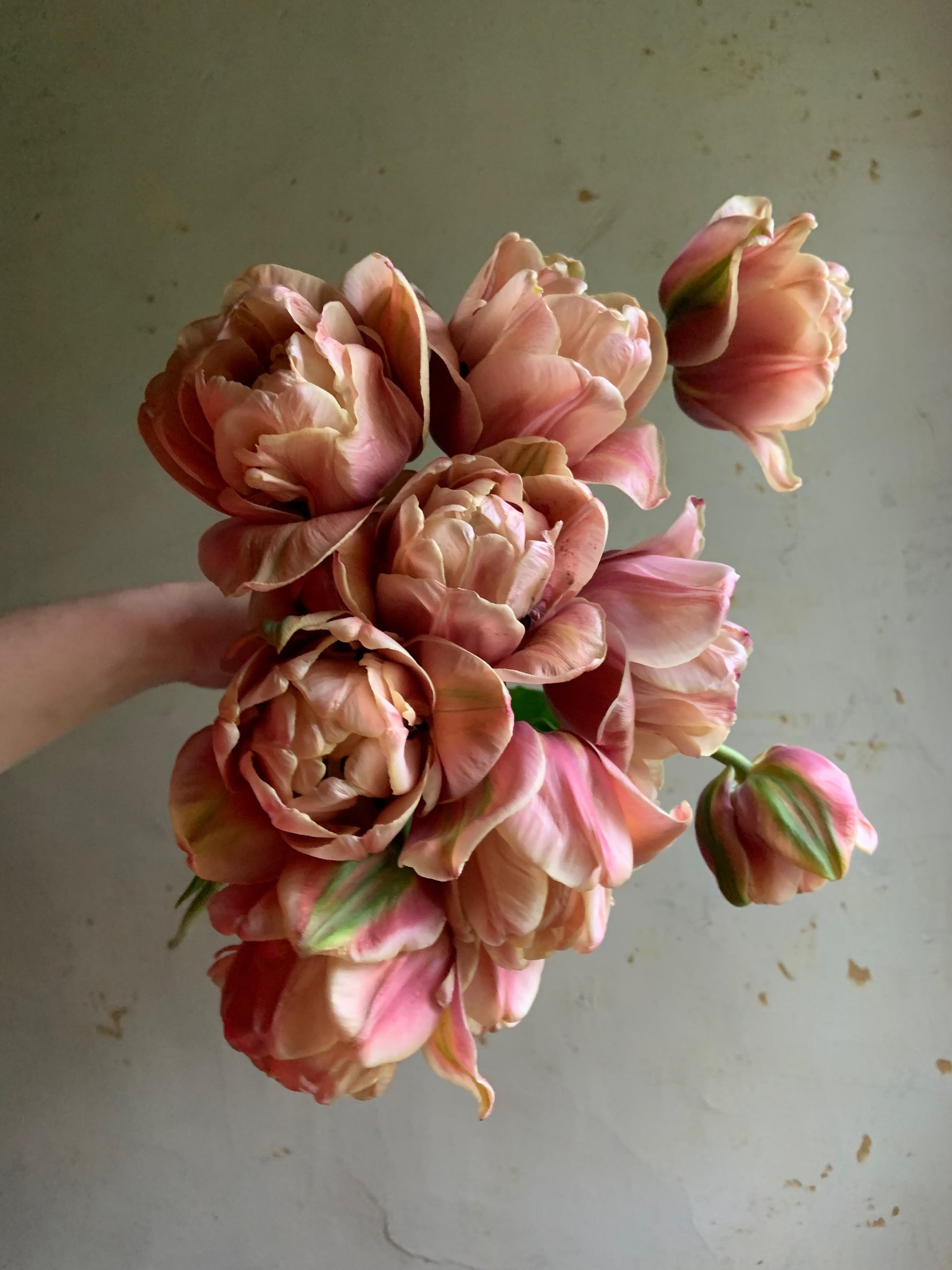 Bouquet of pink flowers held against a neutral background